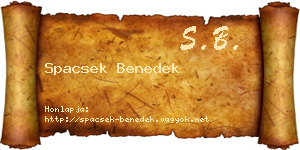 Spacsek Benedek névjegykártya