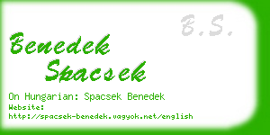 benedek spacsek business card